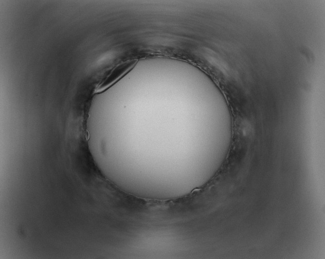 X0000116820965200912312012