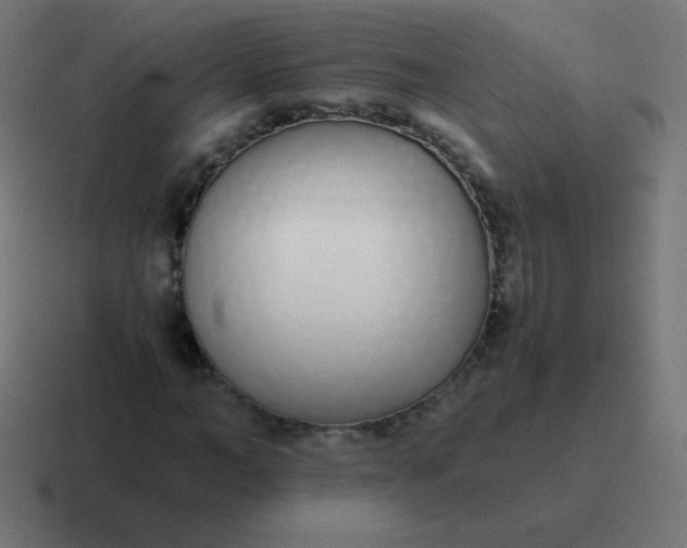 X0000116820966200912312012