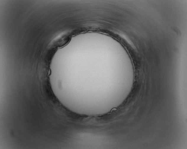 X0000116820967200912312012