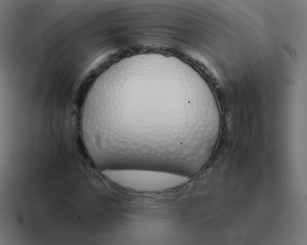 X0000116820968200912312012