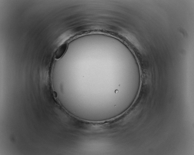 X0000116820969200912312012