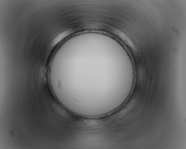 X0000116820970200912312012