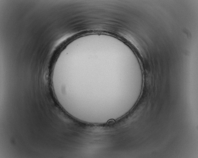 X0000116820971200912312012