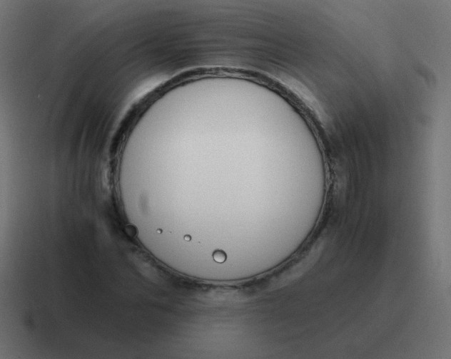 X0000116820974200912312012