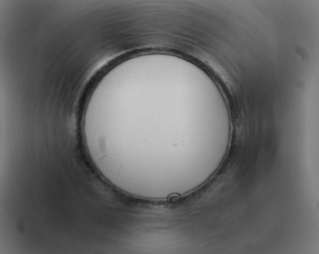 X0000116820975200912312012