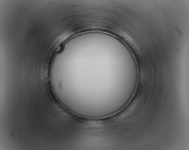 X0000116820977200912312012