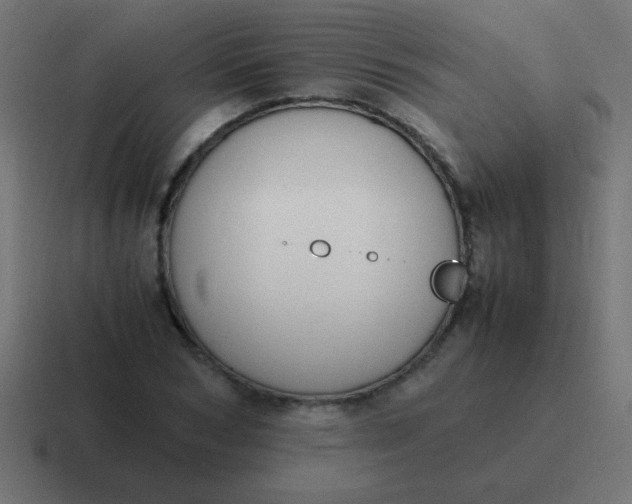 X0000116820978200912312012