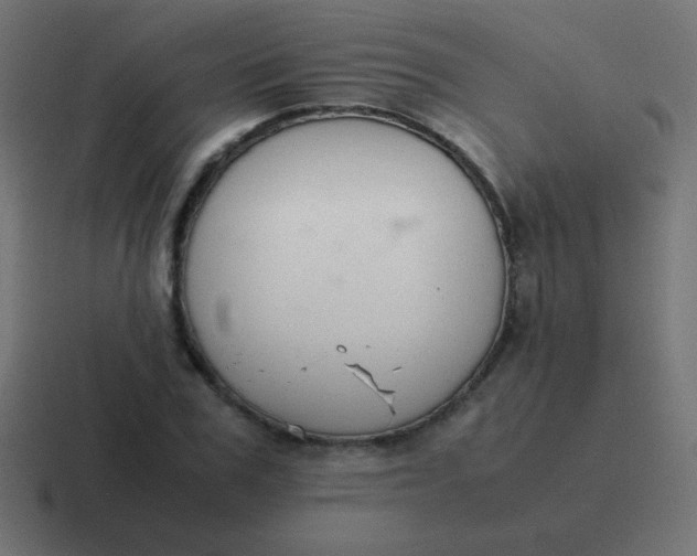 X0000116820979200912312012