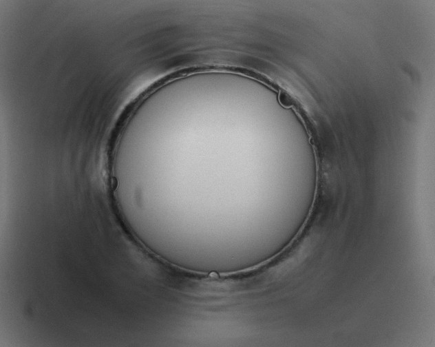 X0000116820981200912312012