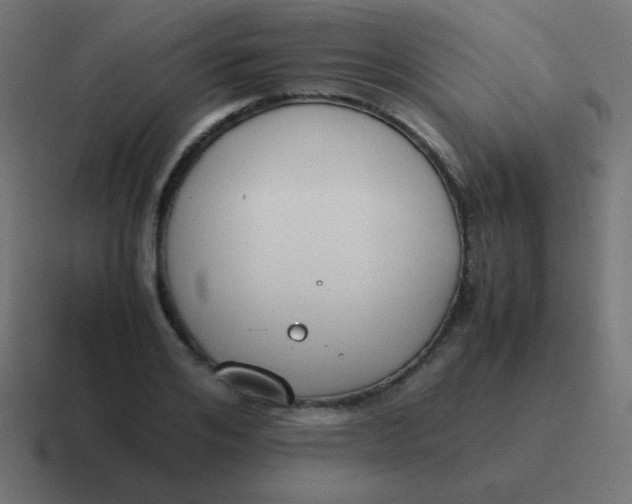 X0000116820984200912312012