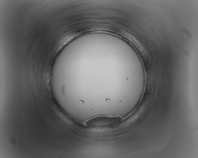 X0000116820985200912312012