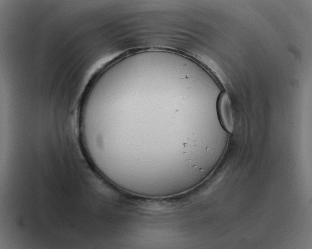 X0000116820987200912312012