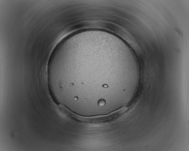 X0000116820988200912312012