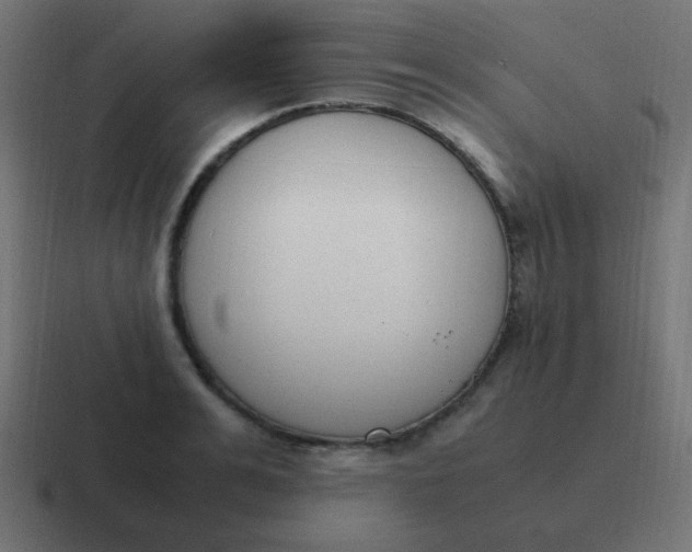 X0000116820991200912312012