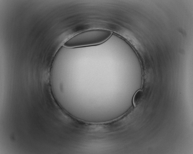 X0000116820993200912312012