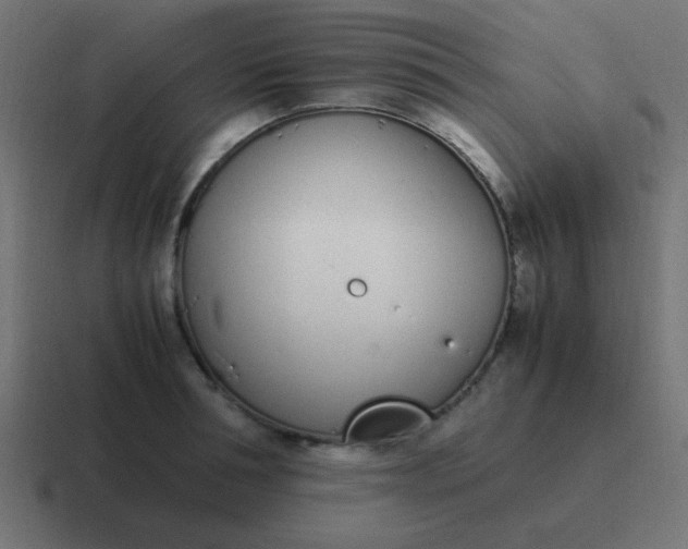 X0000116820994200912312012