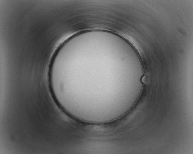 X0000116820995200912312012