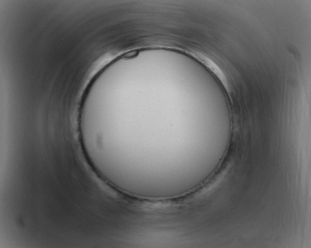 X0000116820997200912312012