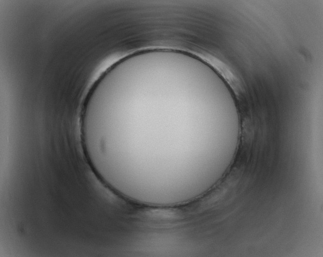 X0000116820998200912312012