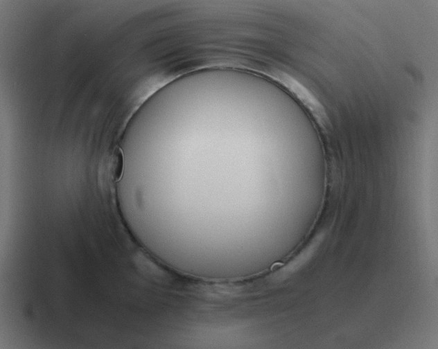 X0000116821001200912312012