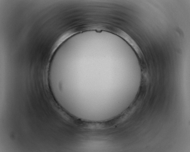 X0000116821002200912312012