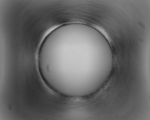 X0000116821003200912312012