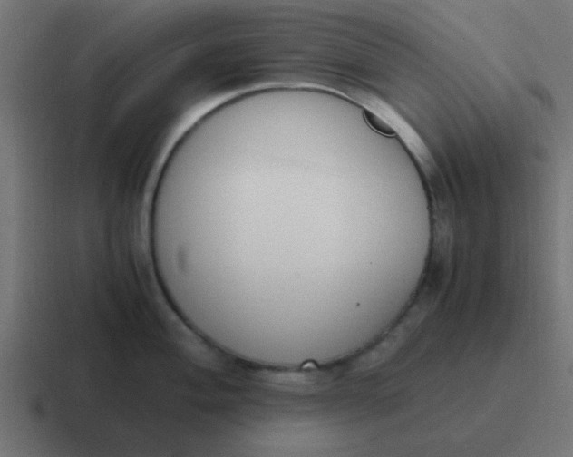 X0000116821004200912312012