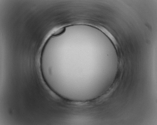 X0000116821005200912312012