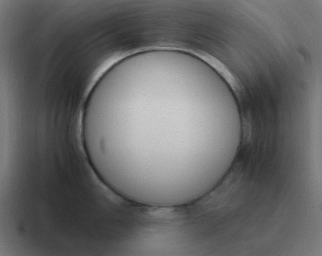 X0000116821006200912312012