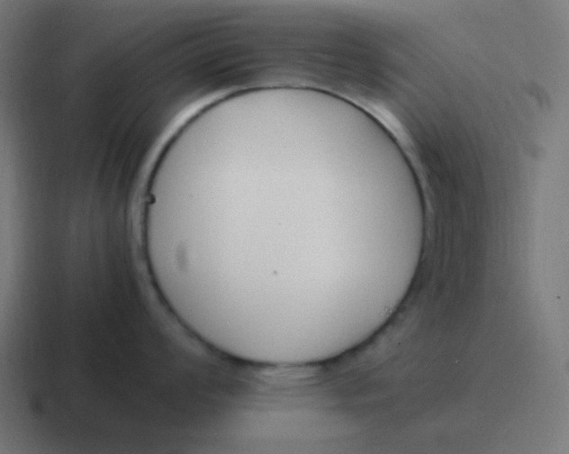 X0000116821008200912312012