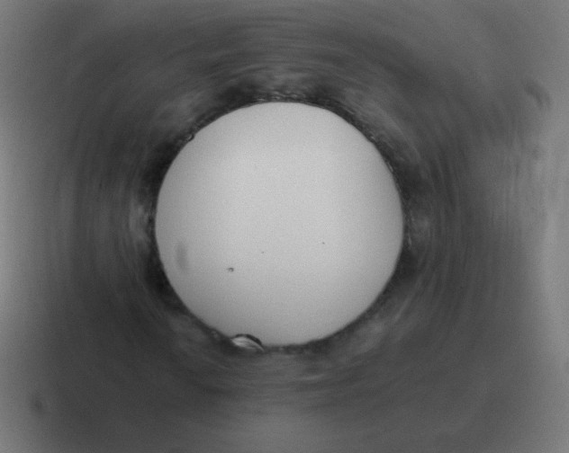 X0000116821010200912312011