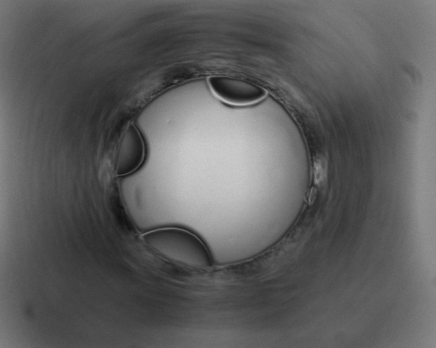 X0000116821011200912312011