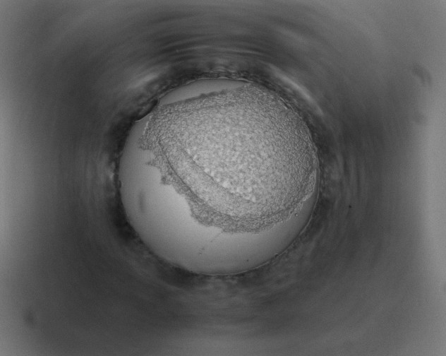 X0000116821013200912312011