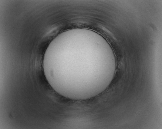 X0000116821014200912312011