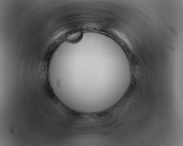 X0000116821015200912312011