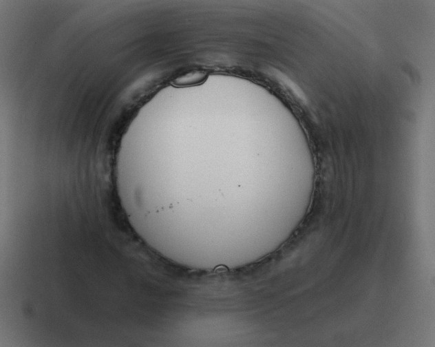 X0000116821016200912312011