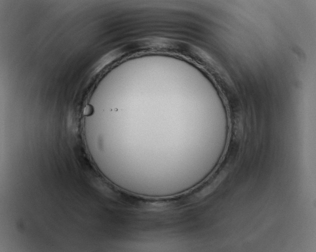 X0000116821017200912312011