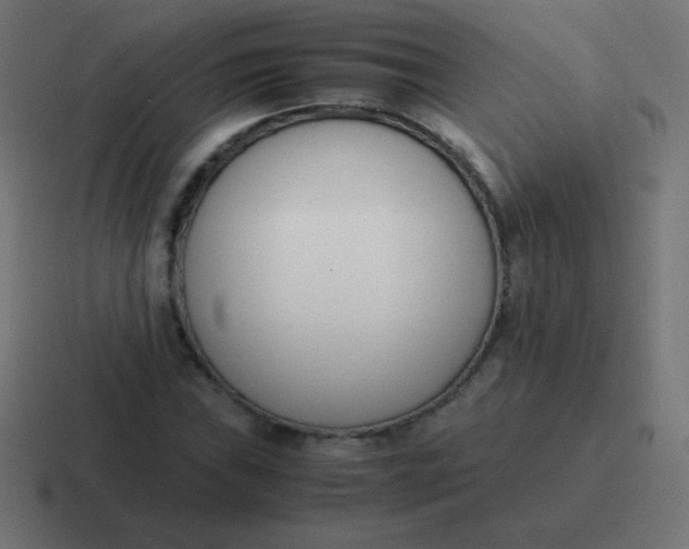 X0000116821019200912312011