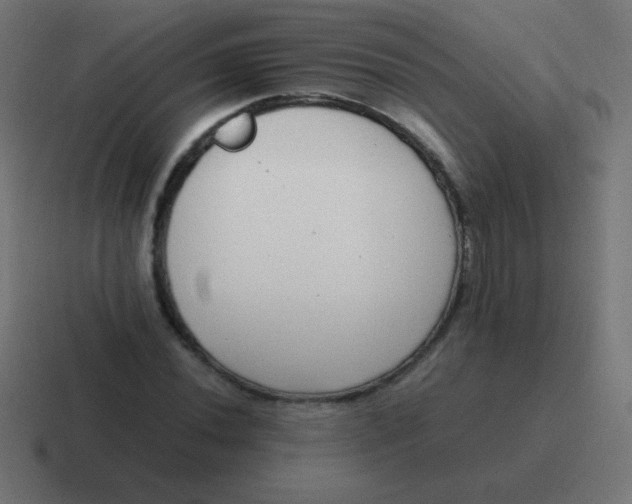 X0000116821020200912312011