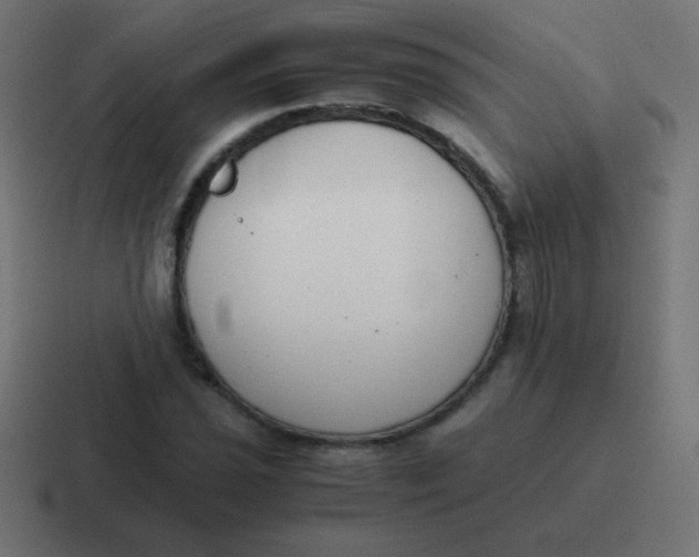 X0000116821021200912312011