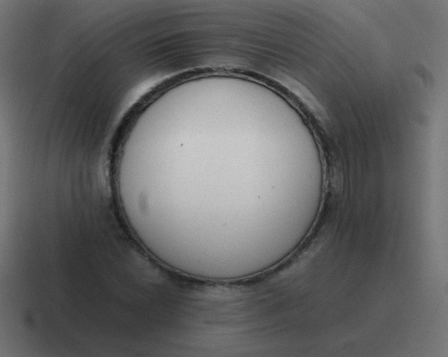 X0000116821022200912312011