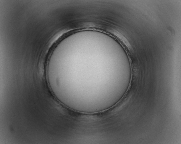 X0000116821023200912312011