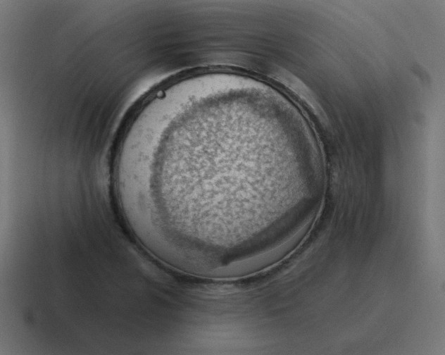 X0000116821024200912312011