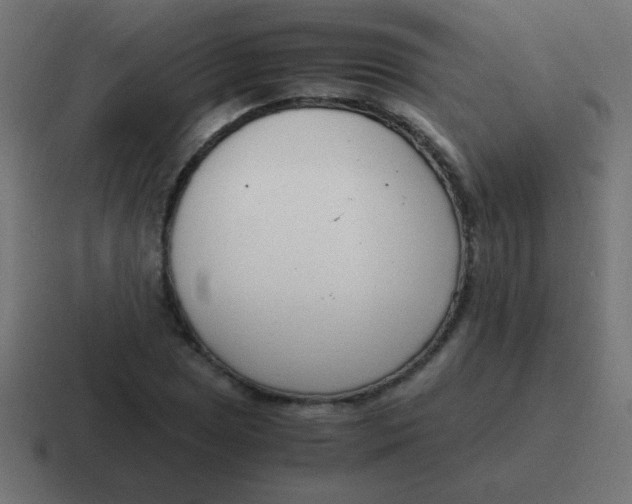 X0000116821025200912312011