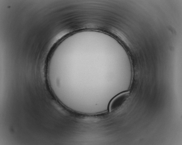 X0000116821026200912312011