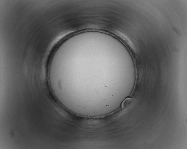 X0000116821027200912312011