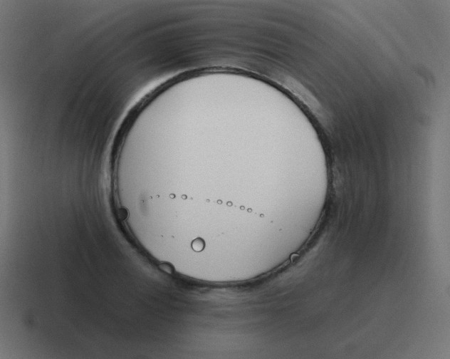 X0000116821028200912312011