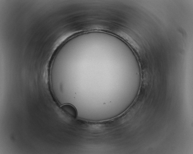 X0000116821031200912312011