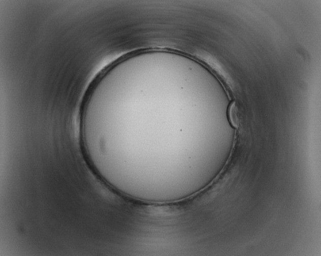 X0000116821032200912312011