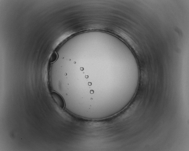 X0000116821034200912312011